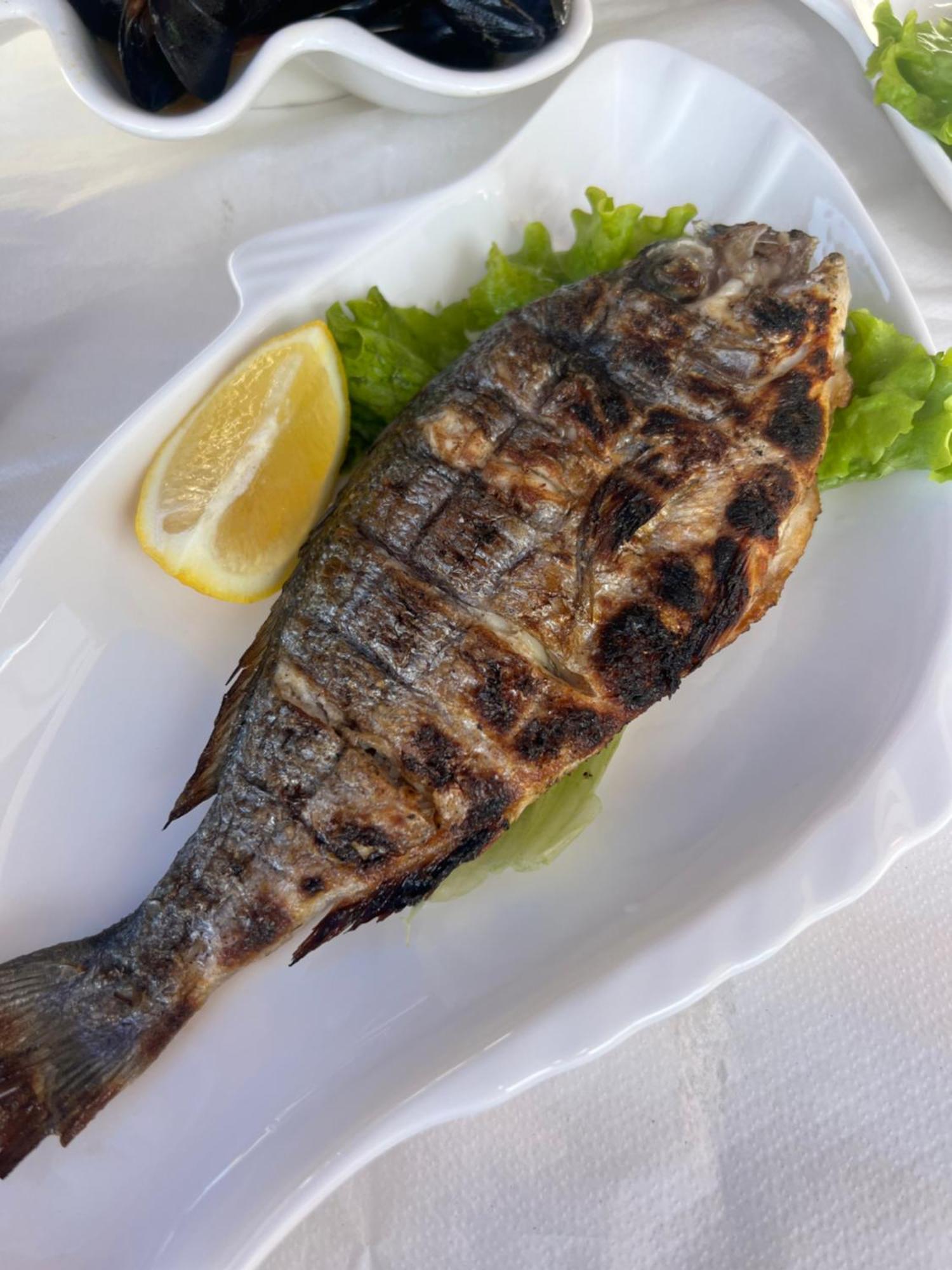 Bruno Rooms Vlorë 외부 사진